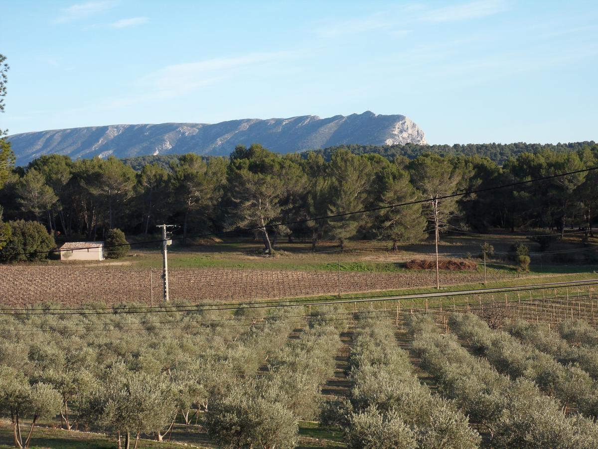 Domaine De L'Olibaou Panzió Venelles Kültér fotó